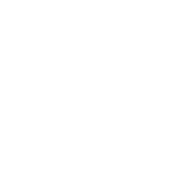 Icon Course 7
