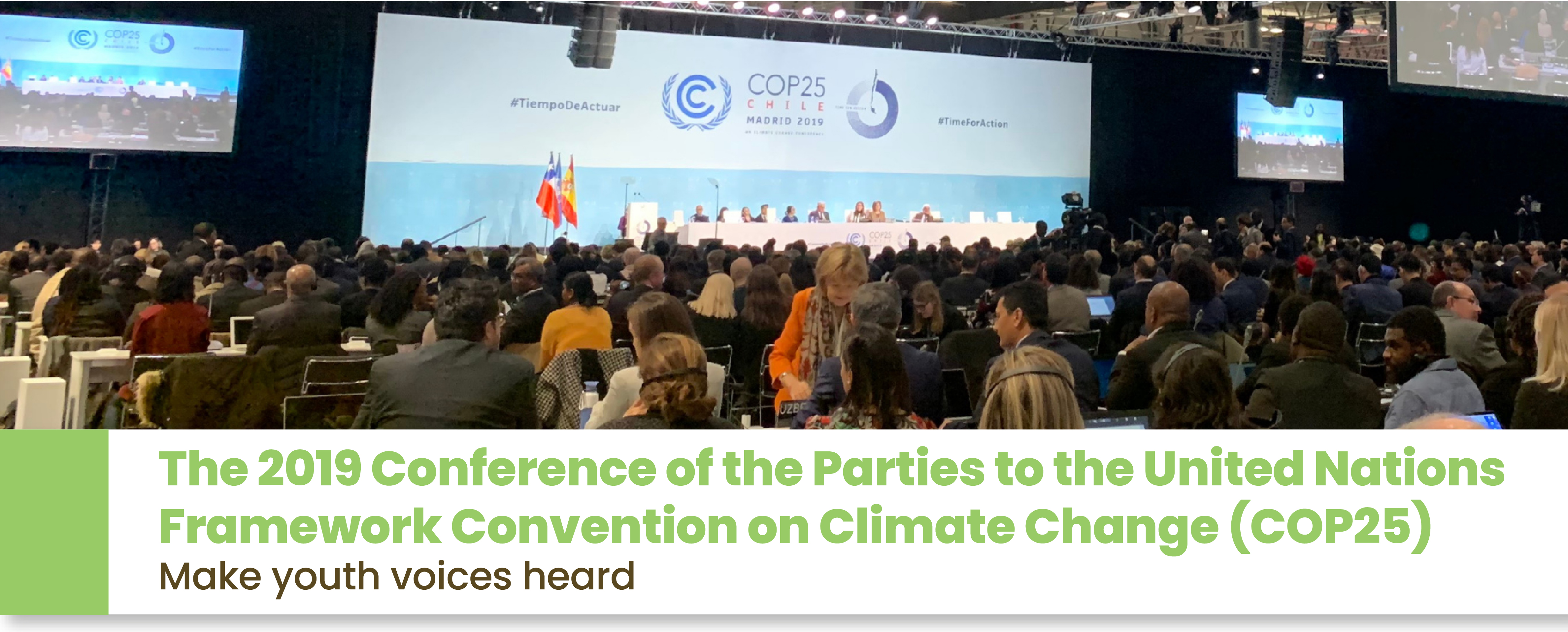 Undp Conference The 2019 Conference of the Parties to the United Nations Framework ...