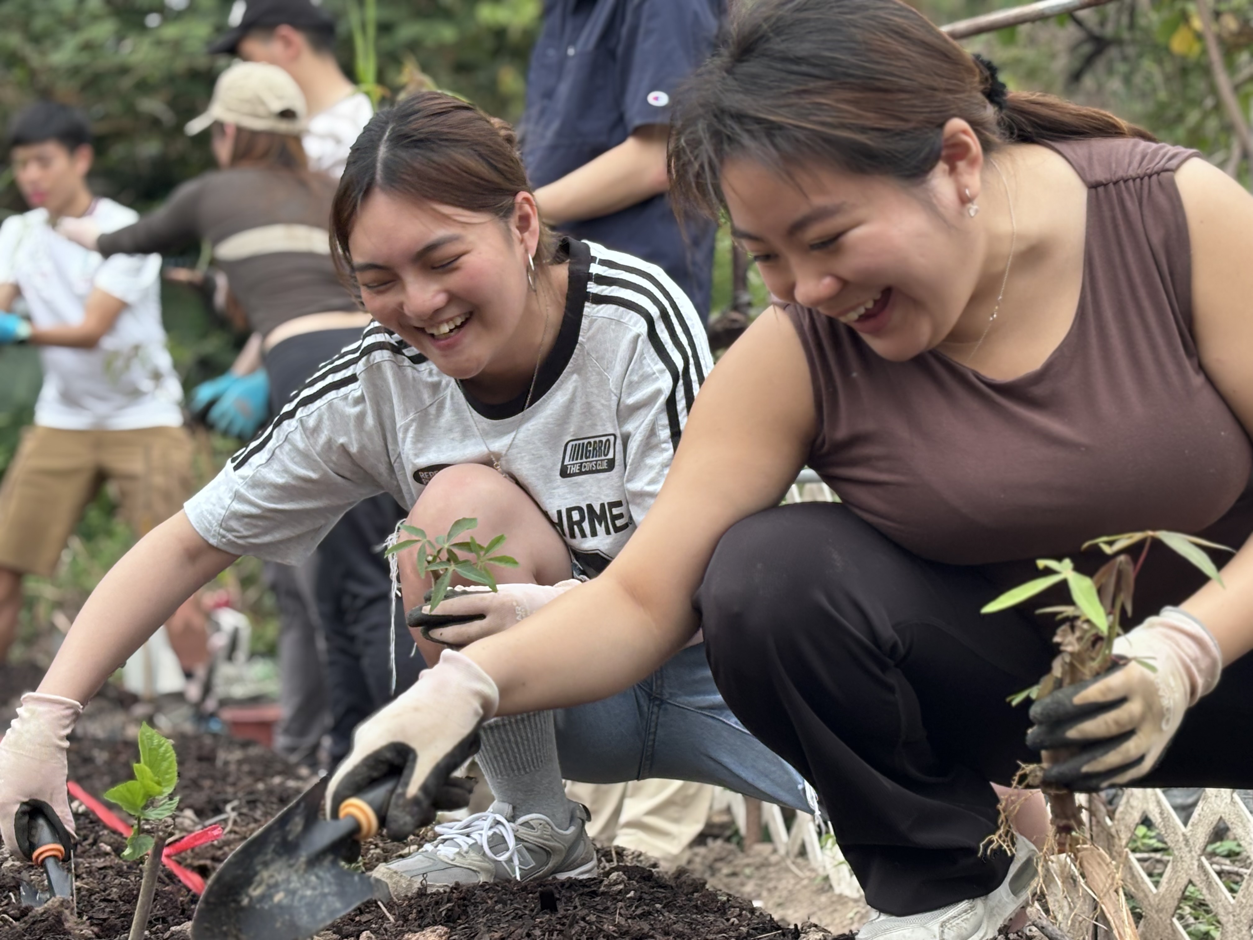 Cover Image for Learning Climate Resilience from Nature
