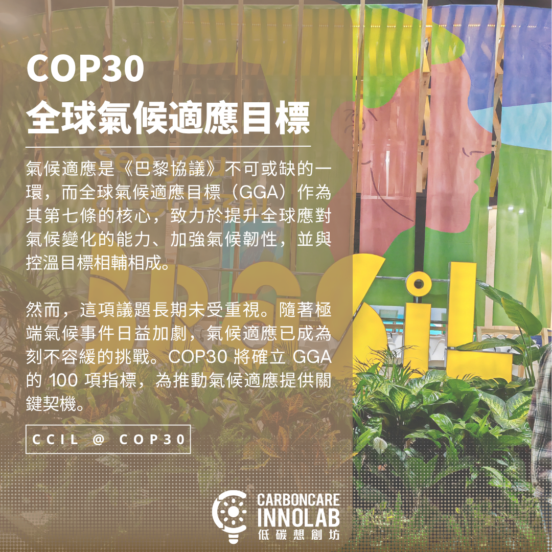 Cover Image for COP30系列之三︰全球氣候適應目標：過去、現在與未來